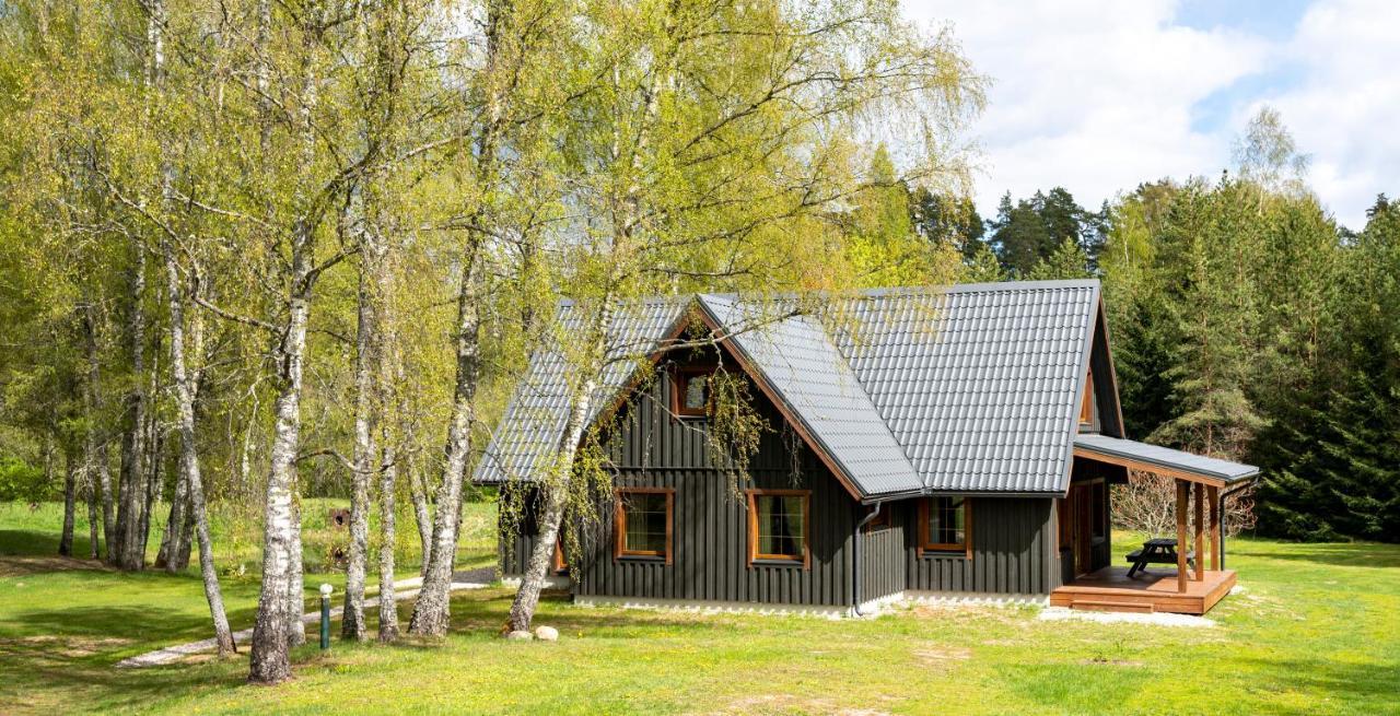 Brivdienu Maja Vejini Straupe Bagian luar foto